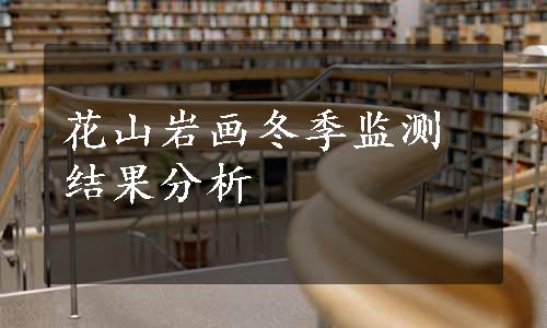 花山岩画冬季监测结果分析