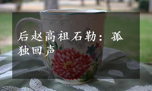 后赵高祖石勒：孤独回声