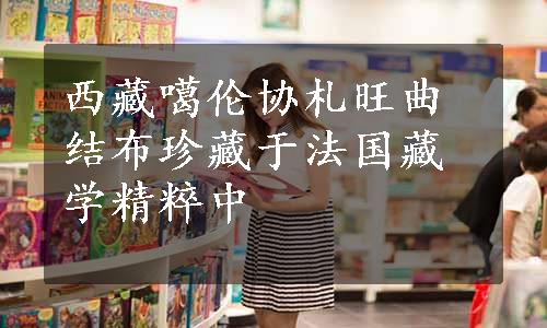西藏噶伦协札旺曲结布珍藏于法国藏学精粹中