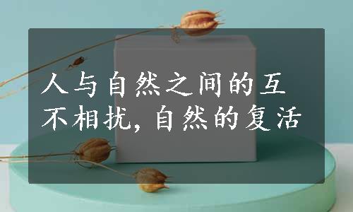 人与自然之间的互不相扰,自然的复活