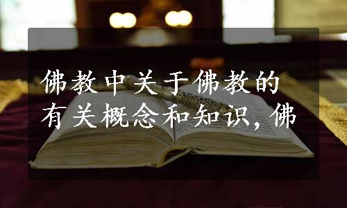 佛教中关于佛教的有关概念和知识,佛