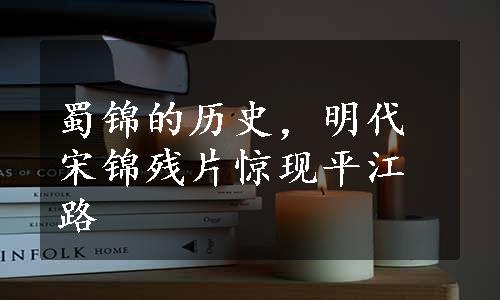 蜀锦的历史，明代宋锦残片惊现平江路