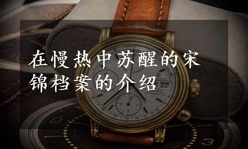 在慢热中苏醒的宋锦档案的介绍