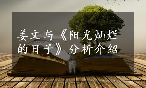姜文与《阳光灿烂的日子》分析介绍