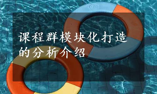 课程群模块化打造的分析介绍
