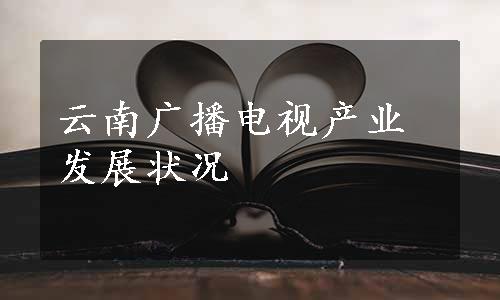 云南广播电视产业发展状况