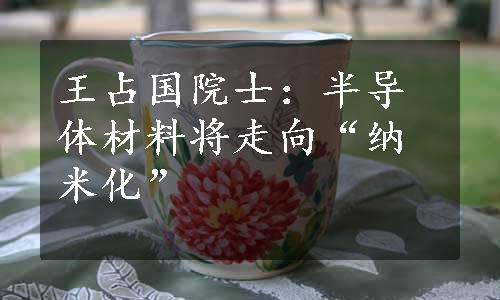 王占国院士：半导体材料将走向“纳米化”