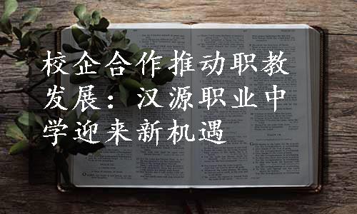 校企合作推动职教发展：汉源职业中学迎来新机遇