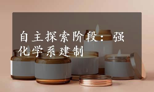 自主探索阶段：强化学系建制