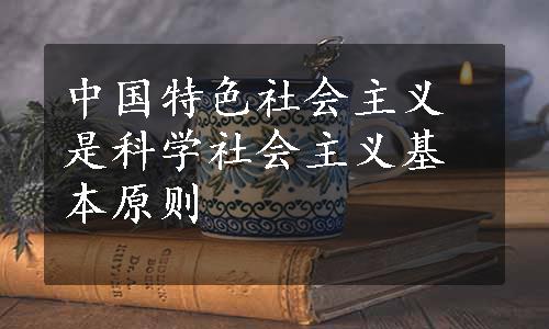 中国特色社会主义是科学社会主义基本原则