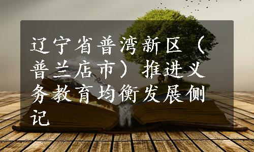 辽宁省普湾新区（普兰店市）推进义务教育均衡发展侧记