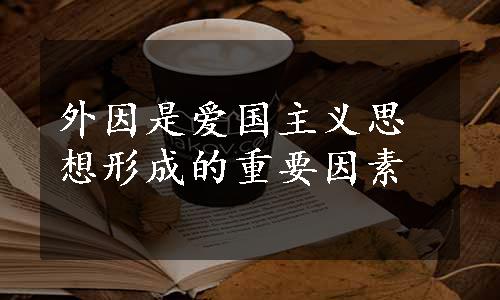 外因是爱国主义思想形成的重要因素