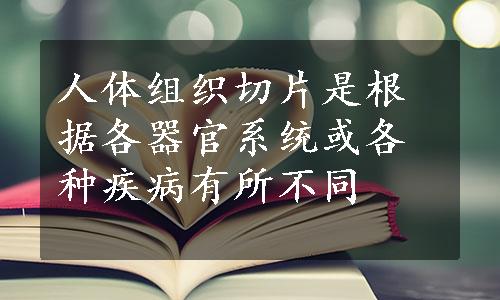 人体组织切片是根据各器官系统或各种疾病有所不同