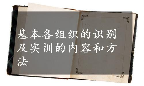 基本各组织的识别及实训的内容和方法