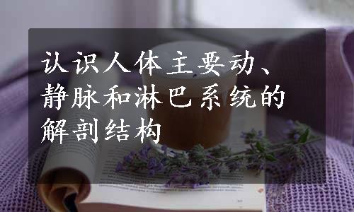 认识人体主要动、静脉和淋巴系统的解剖结构