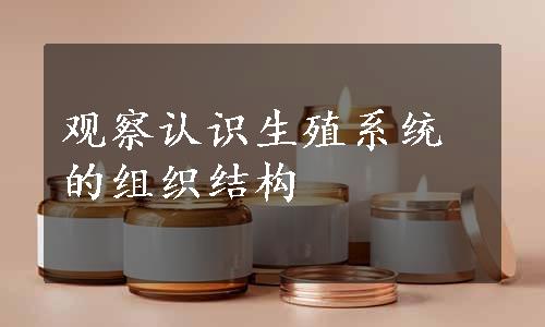 观察认识生殖系统的组织结构