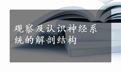 观察及认识神经系统的解剖结构