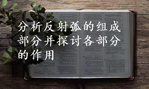 分析反射弧的组成部分并探讨各部分的作用
