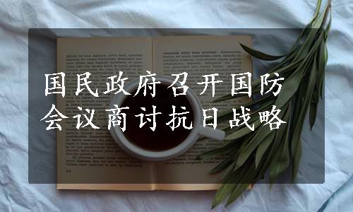 国民政府召开国防会议商讨抗日战略