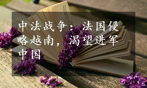 中法战争：法国侵略越南，渴望进军中国