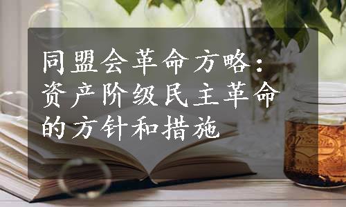 同盟会革命方略：资产阶级民主革命的方针和措施