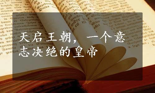 天启王朝，一个意志决绝的皇帝