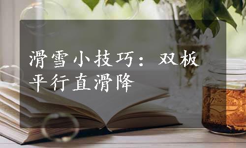 滑雪小技巧：双板平行直滑降