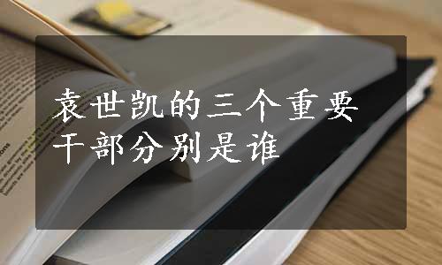 袁世凯的三个重要干部分别是谁