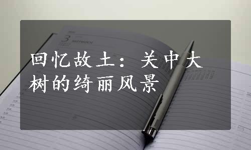 回忆故土：关中大树的绮丽风景