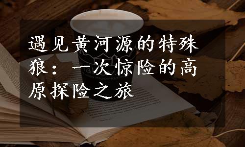 遇见黄河源的特殊狼：一次惊险的高原探险之旅