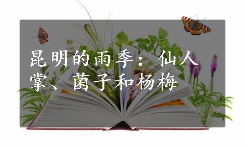 昆明的雨季：仙人掌、菌子和杨梅