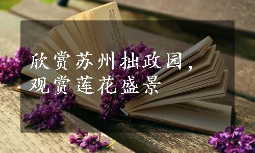 欣赏苏州拙政园，观赏莲花盛景