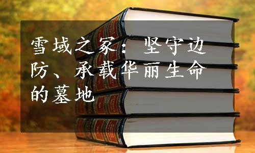 雪域之冢：坚守边防、承载华丽生命的墓地