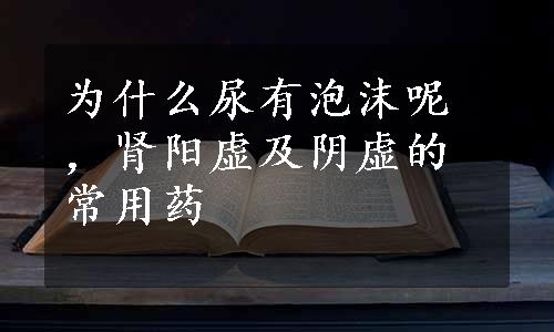 为什么尿有泡沫呢，肾阳虚及阴虚的常用药