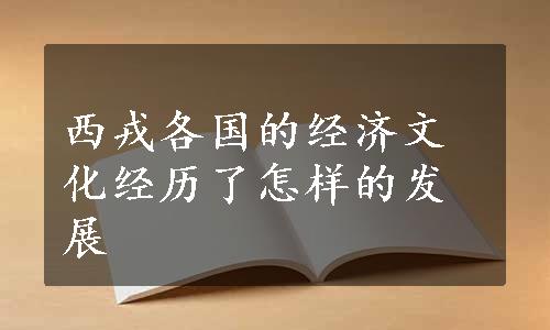 西戎各国的经济文化经历了怎样的发展