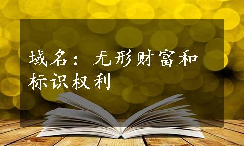 域名：无形财富和标识权利