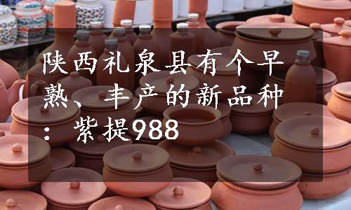 陕西礼泉县有个早熟、丰产的新品种：紫提988