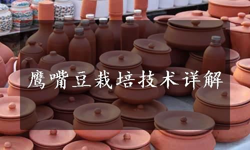 鹰嘴豆栽培技术详解