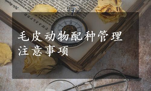 毛皮动物配种管理注意事项