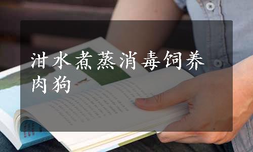 泔水煮蒸消毒饲养肉狗