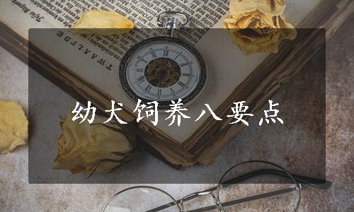 幼犬饲养八要点