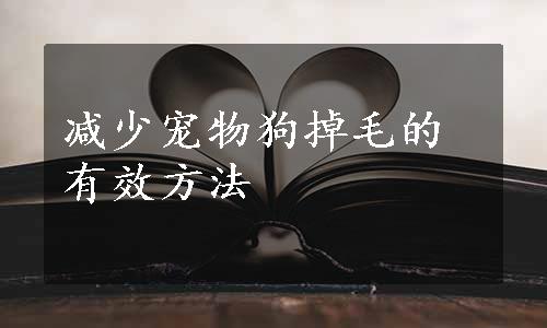 减少宠物狗掉毛的有效方法