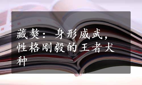 藏獒：身形威武，性格刚毅的王者犬种
