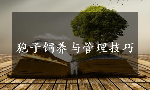 狍子饲养与管理技巧