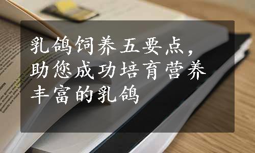 乳鸽饲养五要点，助您成功培育营养丰富的乳鸽
