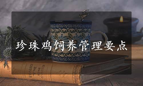 珍珠鸡饲养管理要点