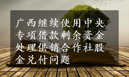 广西继续使用中央专项借款剩余资金处理供销合作社股金兑付问题