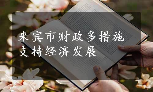 来宾市财政多措施支持经济发展