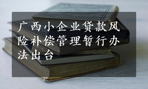 广西小企业贷款风险补偿管理暂行办法出台