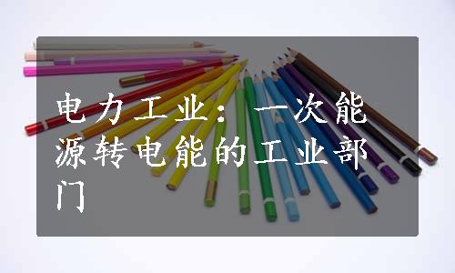 电力工业：一次能源转电能的工业部门